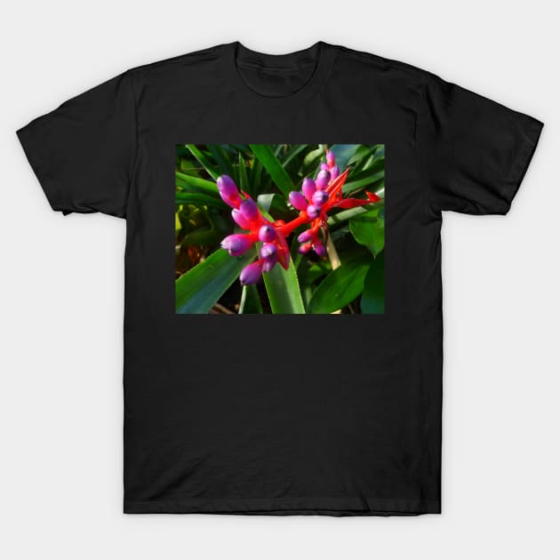 Red, Purple and Green, could this flower be more spectacular?! T-Shirt by HFGJewels